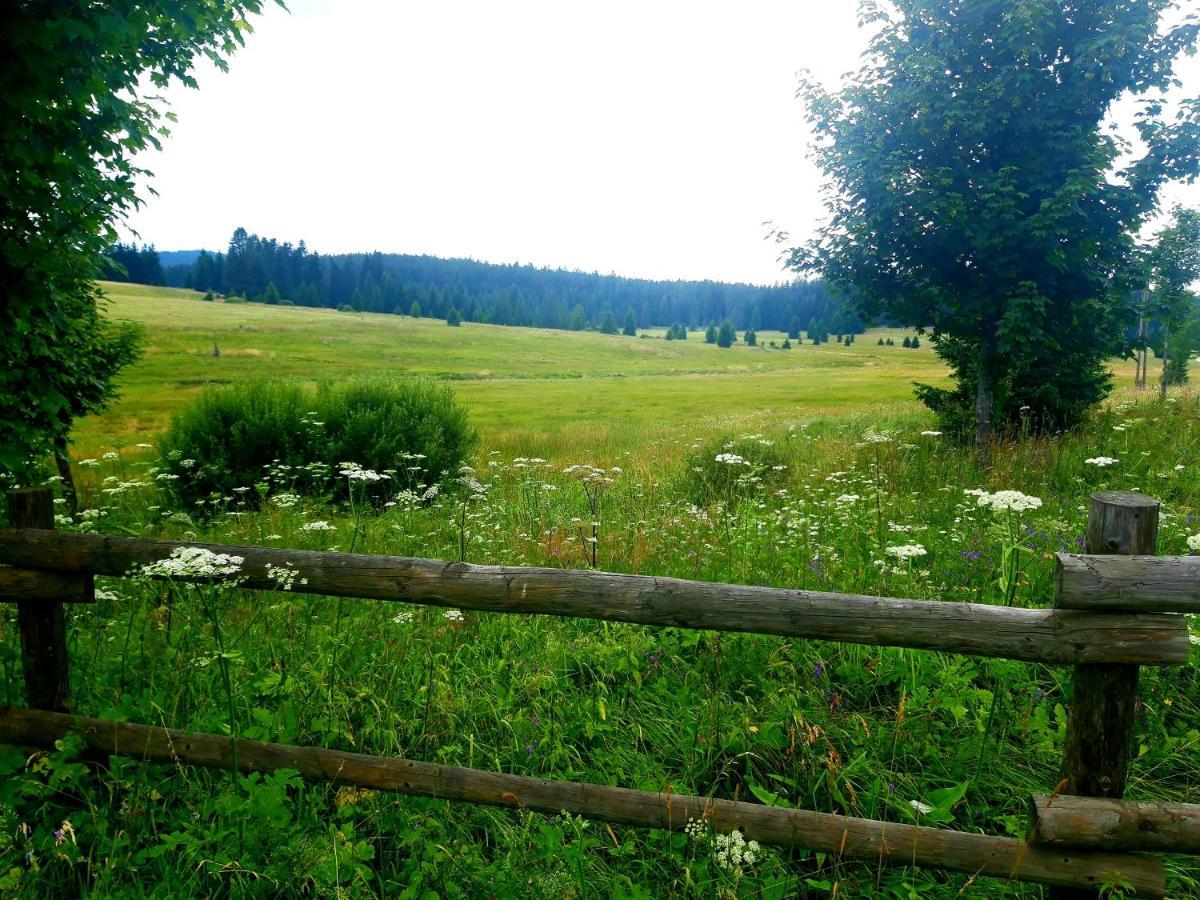 #Apt23 - Apartman 23 - Novohradske Hory Benesov nad Cernou ภายนอก รูปภาพ
